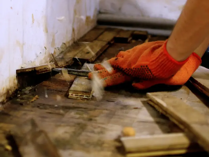 Mold abatement and prevention Elk Grove CA